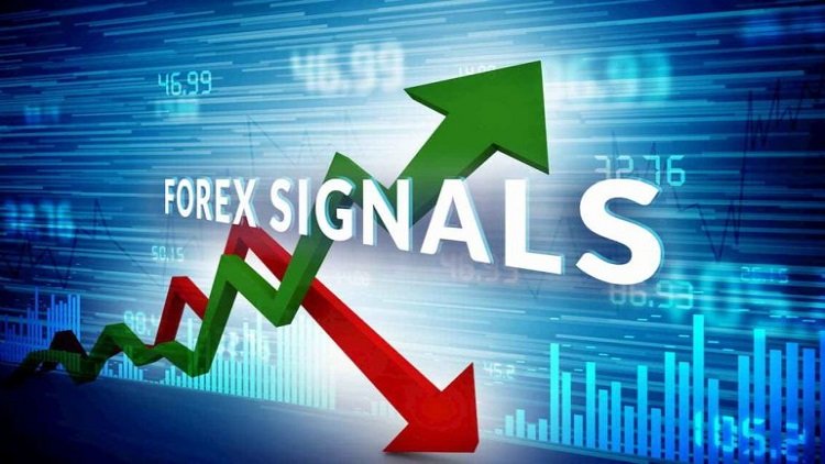 Learning to Use Forex Signals