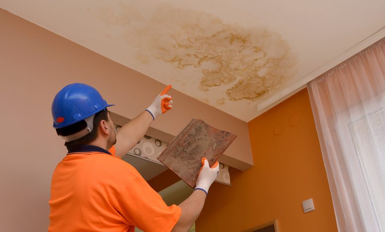 signs you have mold in your house