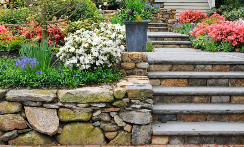 how to start landscaping from scratch