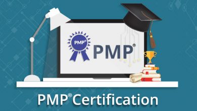 pmp Examples