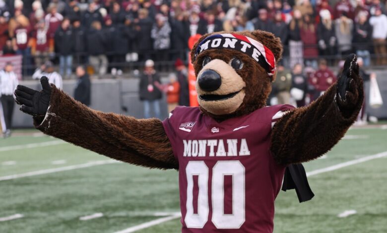 Inside eGriz: The Heartbeat of Griz Nation Online eGriz